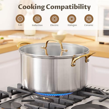 BEZIA 6 Quart 3-Ply Stainless Steel Stockpot, Soup Pot with Lid in Fully Clad Tri-Ply Stainless Steel, Even Heat Distribution, Cooking Pot with Handles, All Cooktops Compatible, Perfect for Stew