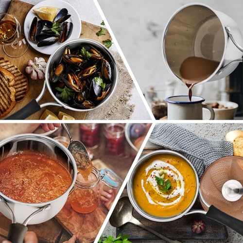 P&P CHEF 2 Quart Saucepan Small Pot, Stainless Steel Saucepan with Lid, Small Sauce Pan for Home Kitchen Restaurant Cooking, Visible Glass lid & Bakelite Heat-Proof Handles,Dishwasher Safe, 1 Pc