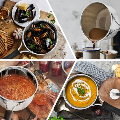 P&P CHEF 2 Quart Saucepan Small Pot, Stainless Steel Saucepan with Lid, Small Sauce Pan for Home Kitchen Restaurant Cooking, Visible Glass lid & Bakelite Heat-Proof Handles,Dishwasher Safe, 1 Pc