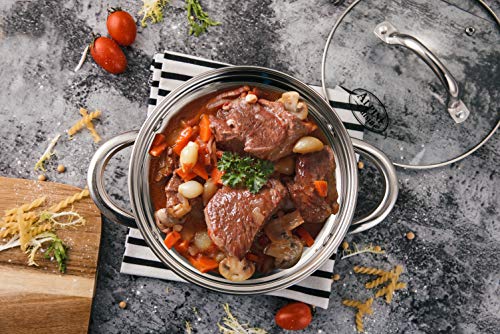 Alpine Cuisine Stainless Steel Dutch Oven Belly Shape 4 Quart - Heavy Duty Pot with Tempered Glass Lid,Comfortable Handles, Dishwasher Safe & Easy to Clean