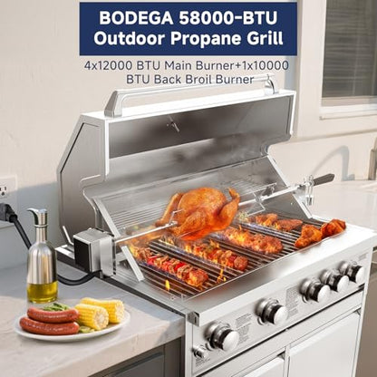 BODEGA Gas Grill Built-In Head, 30-Inch 5-Burner Propane Grill, LP Gas & Natural Gas Convertible, Heavy Duty 304 Stainless Steel 58000-BTUs BBQ Island Kitchen Gas Grill Outdoor Cooking.