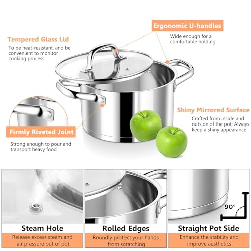 P&P CHEF 5 Quarts Cooking Stock Pot with Lid, Stainless Steel Stockpot Induction Pot for Soup, Tri-Ply Bottom & Clear Glass Lid & Double Handle, Dishwasher Safe