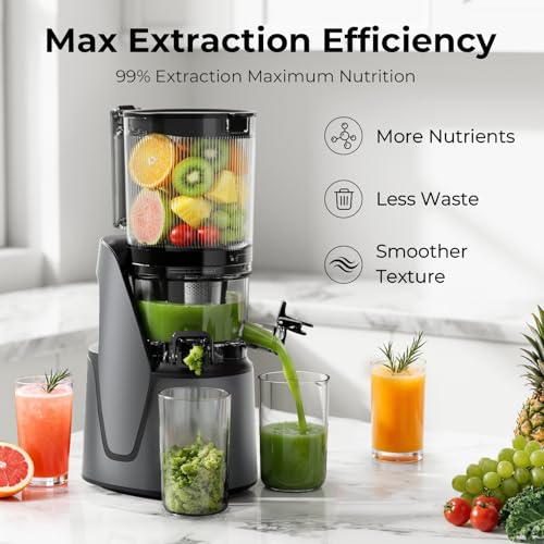 EanOruus Juicer Machines, 3-in-1 Cold Press Juicer with 6.5" Extra Large Chute, 100oz Large Capacity, AC Motor, Makes Juice, Nut Milk & Sorbet, Premium Gray