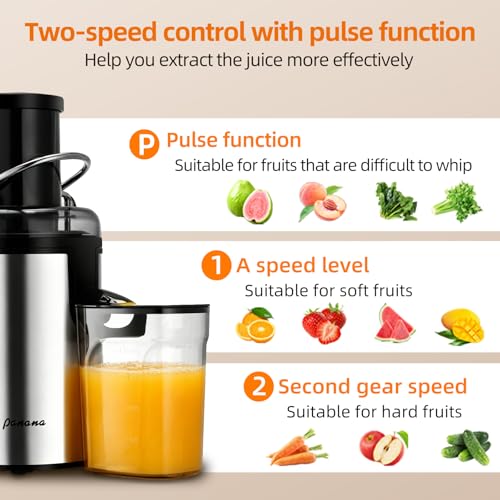 Panana Centrifugal Juicer Extractor with Wide Mouth 2.5” Feed Chute for Fruit Vegetable, Easy to Clean, Stainless Steel, BPA-free (Silver)