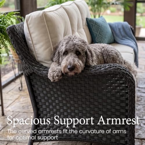 LayinSun 10 Piece Wicker Outdoor Furniture Set with 6-inch Comfy Cushions
