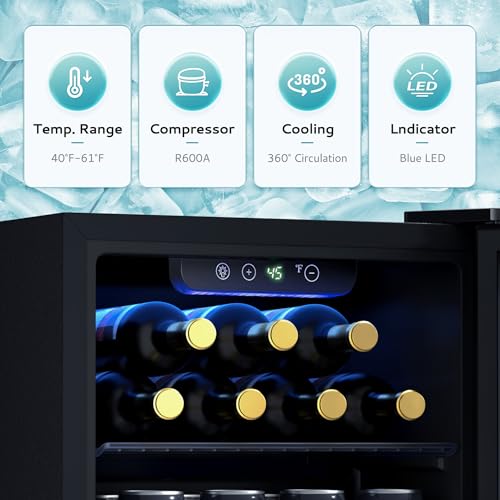 EUHOMY 12 Bottle 48 Can Mini Fridge, Beverage Refrigerator with Glass Door