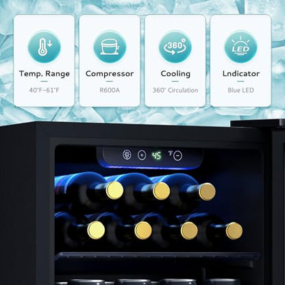 EUHOMY 12 Bottle 48 Can Mini Fridge, Beverage Refrigerator with Glass Door