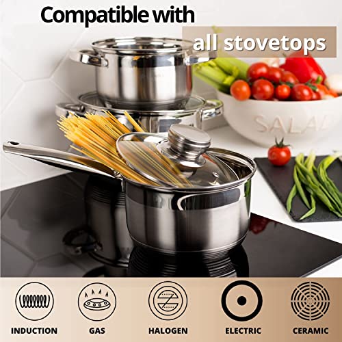 Daniks Standard 10 Quart Stainless Steel Stock Pot with Glass Lid, Tri-Ply Bottom for Even Heating, Induction Compatible, Dishwasher Safe, Built-In Measuring Scale, Silver