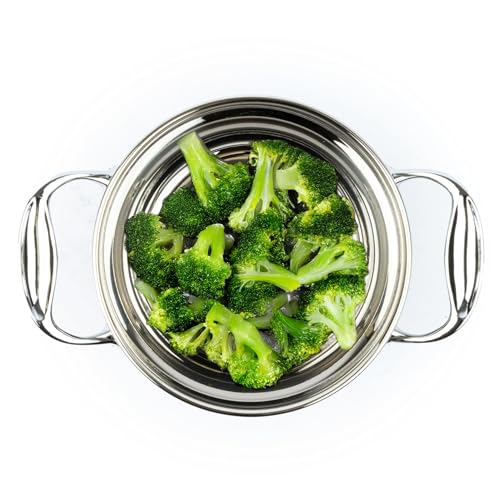 David Burke Splendor Stainless Steel 2-Quart Dutch Oven with Glass Lid, Vented Steam – Side handles, Oven Safe