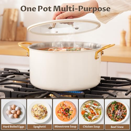 BEZIA 12 Quart Stainless Steel Stock Pot with Lid, Soup Pot for Large Gatherings & Holiday Feasts, Induction Compatible with Silicone-Rimmed Lid, Easy Cleanup