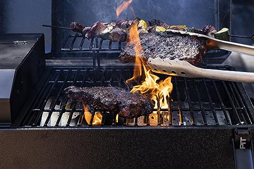 Pit Boss Portable Battery Powered Wood Pellet Grill