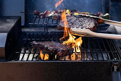 Pit Boss Portable Battery Powered Wood Pellet Grill