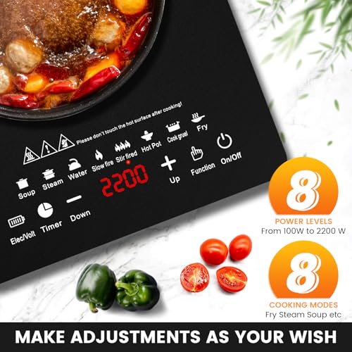 EABOSON Portable Induction Cooktop 8 Cooking Modes, 2200W Electric Countertop Touch Panel with Timer, 8 Temp Levels, Low Noise Hot Plate Countertop Burner Stove
