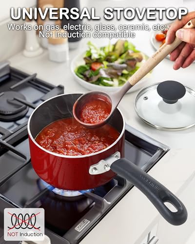 Cook N Home Basic Nonstick Saucepan with Glass Lid, Non Stick Aluminum Sauce Pan, Small Multi-purpose Kitchen Pot, Milk Chocolate Cooking Pot Pan with Stay-Cool Handle, 1-Quart, Marble Red