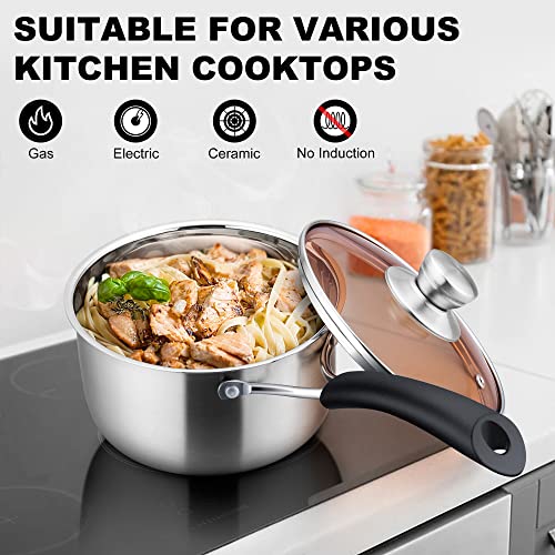 LIANYU 1QT Saucepan with Lid, 1 Quart Stainless Steel Saucepan, Small Pot Milk Soup Pan for Home Kitchen Restaurant, Long Heatproof Handle, Dishwasher Safe