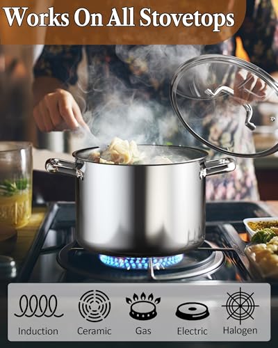 Cook N Home Classic Tri-Ply Clad Stock pot, Stainless Steel Stock pot with Lid, Cooking Pot for Pasta, Spaghetti, Large Soup Pot with Handle, Cookware for Canning, Boiling, Simmer, Oven Safe, 6-Quart