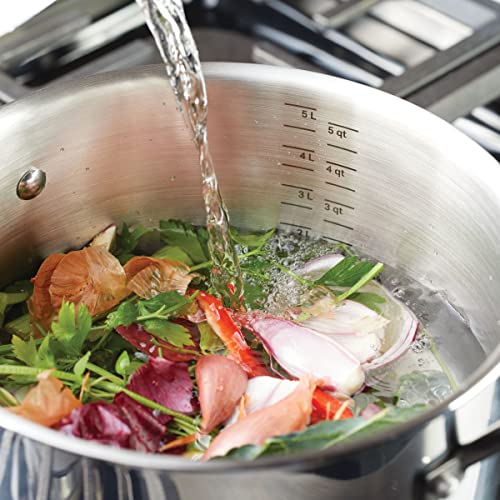 KitchenAid 5-Ply Clad Polished Stainless Steel Stock Pot/Stockpot with Lid, 6 Quart - Stainless Steel