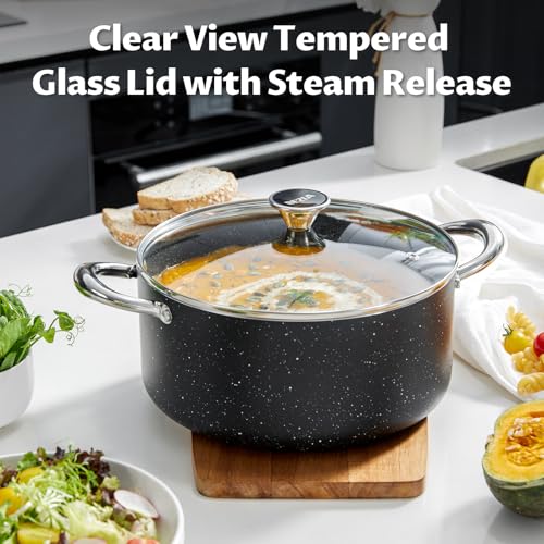 BEZIA Large 12 Quart Nonstick Stock Pot with Lid, Induction Cooking Pot Soup Pot, Non-toxic and Oven Safe, Perfect for Stews, Soups and All Stovetops, PFOA PFAS Free