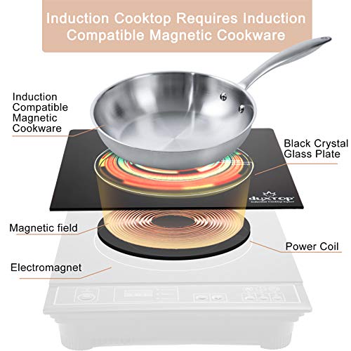 Duxtop 1800W Portable Induction Cooktop Countertop Burner, Gold 8100MC