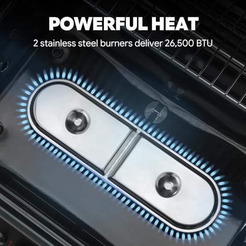 Feasto 2 Burner Propane Gas Grill with 26,500 BTUs Output, Porcelain-Enamel Main Body and Lid, Propane BBQ Grill with Warming Rack & Side Tables for Patio, Backyard, Poolside Gatherings