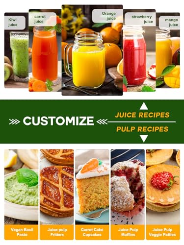 Juicer Machines, 1200W Centrifugal Juicer Extractor with 3" Feed Chute, Dual Speeds, Heavy Duty Full Copper Motor, 35oz Large Juice Jug, Stainless Steel, Silver