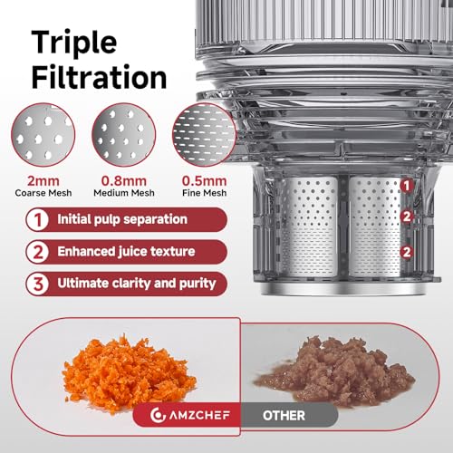 Cold Press Juicer Machine with 6" Extra-Wide Feed Chute,Triple Stainless Steel Filter,Quiet DC Motor,Easy to Clean,Slow Masticating Juicer High Juice Yield, Grey