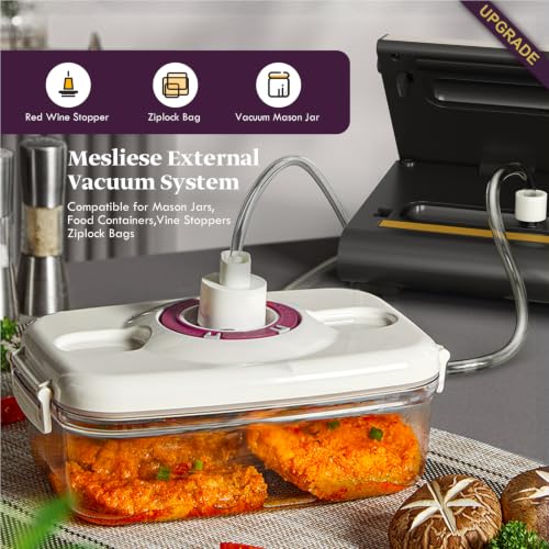 Mesliese 90kPa Vacuum Sealer Machine for food, Dry/Moist Mode for Meal Prep