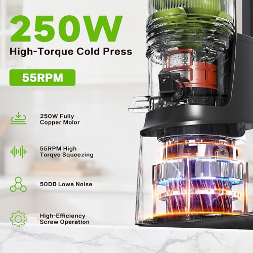 Cold Press Juicer, Juicer Machines with 5.3" Wide Feed Chute, Slow Masticating Juicer for Whole Fruits and with Vegetables High Yield (Gray)