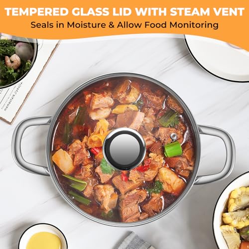 Tri-Ply Stainless Steel Stock Pot, 8 Quart Heavy Duty Induction Cooking Pot with Visible Lid for Pasta, Soup, Spaghetti, Sturdy & Double Handle, Dishwasher Safe
