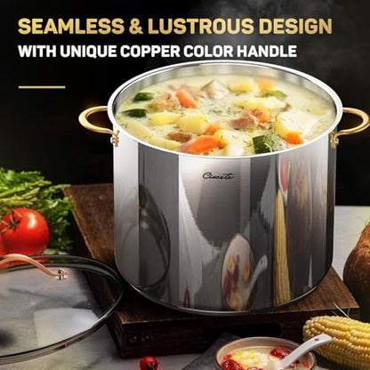 Ciwete Stock Pot 20 Quart, 3 Ply Stainless Steel Stock Pot with Lid, 20 Quart Soup Pot with Copper Handle, Healthy Stockpots, Induction, Oven, Gas and Dishwasher Safe
