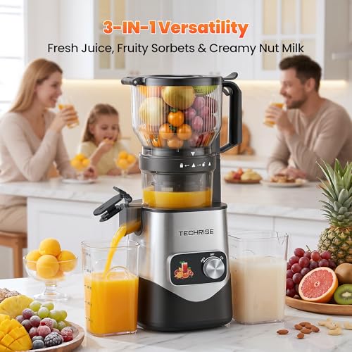 TechRise 3-in-1 Cold Press Juicer with 6" Wide Feed Chute, Slow Masticating Juicer Machine for Whole Fruits & Vegetables, Makes Juice, Fruit Sorbet & Nut Milk, Easy to Clean, BPA-Free, Space Silver