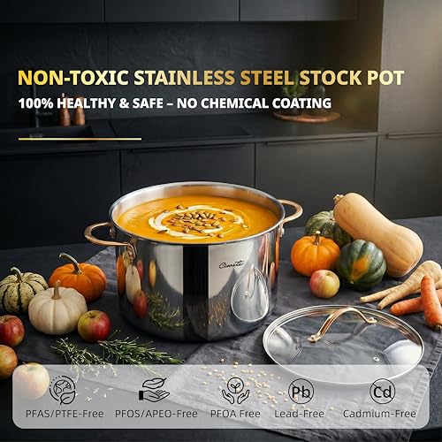 Ciwete Stock Pot 12 Quart, 18/10 Tri-Ply Stainless Steel Whole Clad Stock Pot with Lid, Seamless 12 QT Cooking Pot with Copper Handle, Healthy Stockpots, Induction, Gas, Oven and Dishwasher Safe