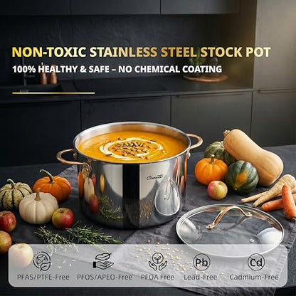 Ciwete Stock Pot 12 Quart, 18/10 Tri-Ply Stainless Steel Whole Clad Stock Pot with Lid, Seamless 12 QT Cooking Pot with Copper Handle, Healthy Stockpots, Induction, Gas, Oven and Dishwasher Safe