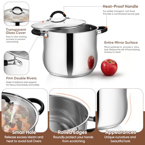 P&P CHEF Stainless Steel Stock Pot, 12 Qt Cooking Soup Pot with Visible Lid for Pasta, Tri-Ply Bottom & Dual Heatproof Handles, For Induction Gas All Stoves, Non-Toxic & Dishwasher Safe