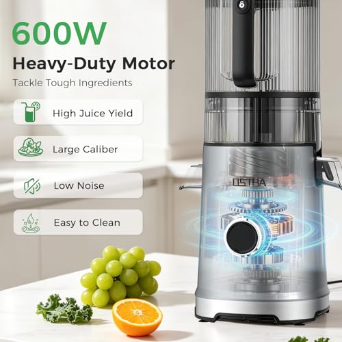 3-in-1 Cold Press Juicer, OSTBA 600W Slow Masticating Juicer with 6" Extra Large Feed Chute for Whole Fruits & Vegetables, Juicer, Nut Milk Maker & Sorbet Machine, Easy to Clean