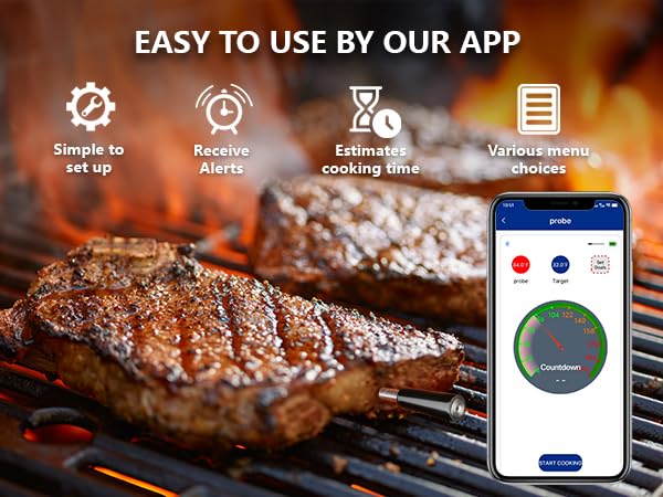 FodoThrem Smart Wireless Meat Thermometer,Digital Cooking Thermometer 700FT Remote Range,Instant Food Thermometer with Wireless Probe & Booster for Grilling and Smoking,BBQ,Oven,Kitchenr