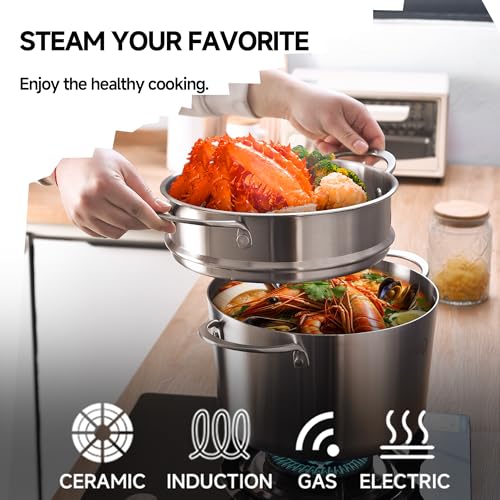 LOLYKITCH 5 Quart Stainless Steel Steamer Pot with Glass Lid, 3-Ply Steaming Pot for Cooking, 2 Tier Induction Steamer Pot for Tamales Seafood Vegetables Dumplings Stock Pot, Thick