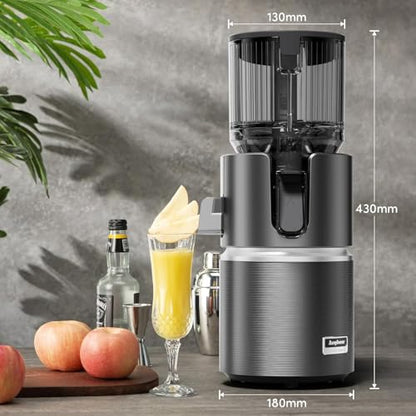 Anybear Cold Press Juicer, 350W Masticating Juicer for Juice, Nut Milk & Sorbet, Dual Slow-Squeezing Technology, 4.9" Feed Chute for Whole Fruits & Vegetables, BPA-Free Tritan(Grey)