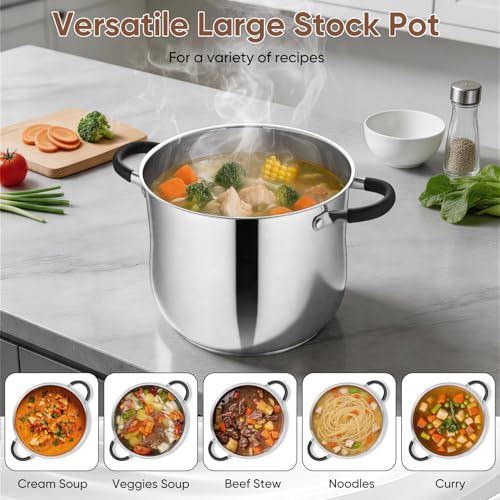 P&P CHEF Stainless Steel Stock Pot, 10 Qt Cooking Soup Pot with Visible Lid for Pasta, Tri-Ply Bottom & Dual Heatproof Handles, For Induction Gas All Stoves, Non-Toxic & Dishwasher Safe