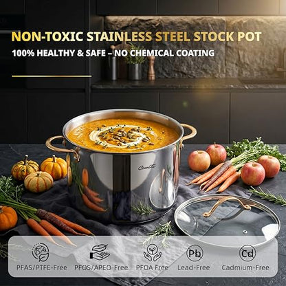 Ciwete Stock Pot 20 Quart, 3 Ply Stainless Steel Stock Pot with Lid, 20 Quart Soup Pot with Copper Handle, Healthy Stockpots, Induction, Oven, Gas and Dishwasher Safe