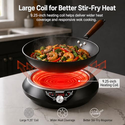 GastroGear 1700W Induction Cooktop with 13.4" Carbon Steel Wok Pan,Lid,Rack,1.97" Deep Curved Concave Electric Stove Burner 16 Watts/temp Precise Ctrl 200~1700W 176°F to 446°F,18H Timer ETL-Listed