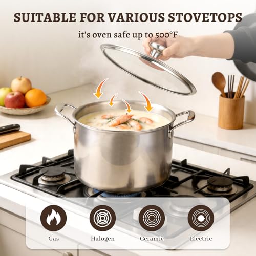 Ptaciow Titanium Stock Pot,8Quart Stock Pot with Lid,Lightweight and Healthy Soup Pot,Induction All Stovetops,Large Capacity Titanium Cooking Pot for Soup,Pasta,Boiling,Stewing