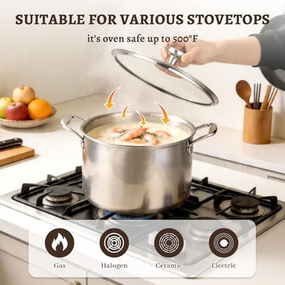 Ptaciow Titanium Stock Pot,8Quart Stock Pot with Lid,Lightweight and Healthy Soup Pot,Induction All Stovetops,Large Capacity Titanium Cooking Pot for Soup,Pasta,Boiling,Stewing