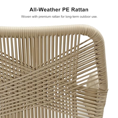 PURPLE LEAF 14 Pieces Outdoor Patio Dining Set All-Weather PE Rattan Furniture Set with All Aluminum Frame Rectangular Table and Chairs Set for 12 People Lawn Garden Backyard Deck, Champagne