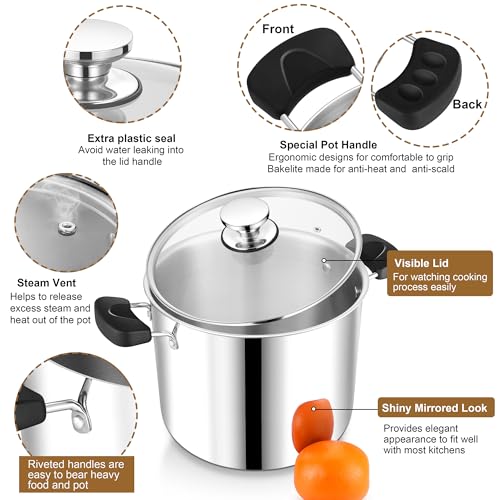 12 Quart 3-Ply Cooking Stock Pot with Lid, P&P CHEF Stainless Steel Large Pot for Pasta Soup, Work on Multi Stove, Heavy Duty & Dishwasher Safe, Dual Heat-resistant Handles & Transparent Glass Lid