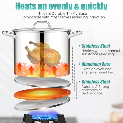 E-far 14 Quart Stainless Steel Stock Pot, Heavy Duty Induction Stockpot with Glass Lid for Cooking Soup Canning, Thick Tri-Ply Bottom & Riveted Handles, Compatible with All Stoves, Dishwasher Safe