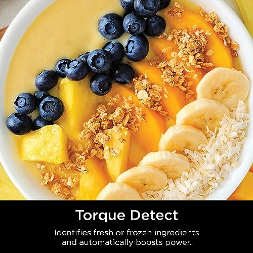 Ninja Detect Power Blender Pro, BlendSense Tech, 72oz, 1800PW, TB201