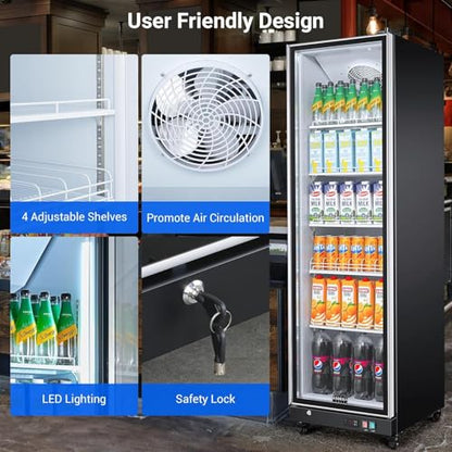 BODEGACOOLER Commercial Beverage Refrigerator with Glass Door,12.5 Cu.Ft Commercial Drink Refrigerator,Upright Large Display Merchandiser Beverage Bar Cooler with Soft LED Light,Adjustable Shelves