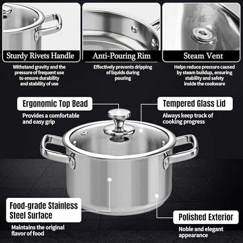 ASKSCICI Stainless Steel Cookware Set, 16-Piece Pots and Pans Set Non Toxic, Kitchen Induction Cookware with Glass Lids, Steamer, Utensil Sets, Pot Protectors & Apron, Oven & Dishwasher Safe, Silver