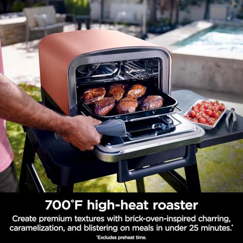Ninja Woodfire Outdoor Pizza Oven, 5-in-1 Portable Electric Roaster Oven, Heats up to 700°F, 5 Artisan Pizza Settings, Integrated BBQ Smoker Box, Includes Flavored Wood Pellets, Terracotta Red
